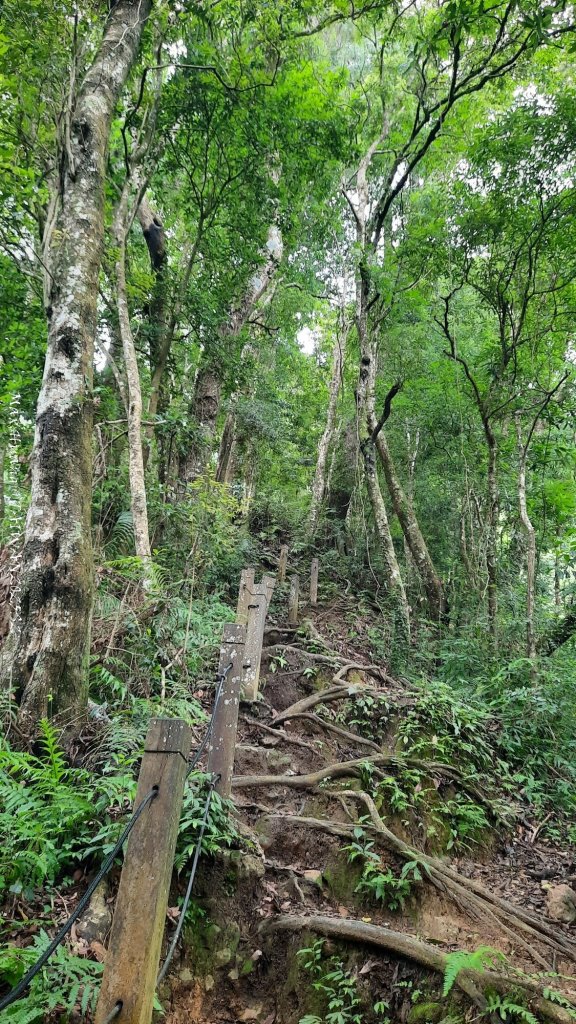 《雲林》望好望角｜石壁山嘉南雲峰步道(中側登山口）20250607_2805332
