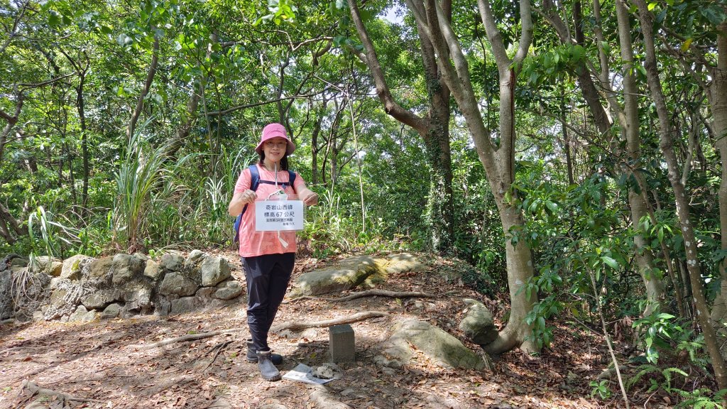 (姨婆趴趴走)第四十三集:攀登連走奇岩山、軍艦岩、丹鳳山_2499463