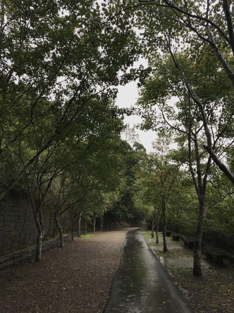 滿月圓森林步道 林口森林步道_186835