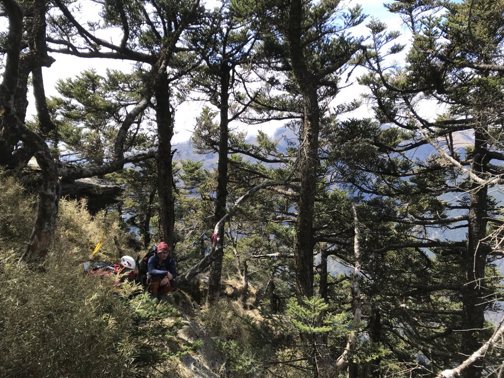 屏風山上奇萊北_892391