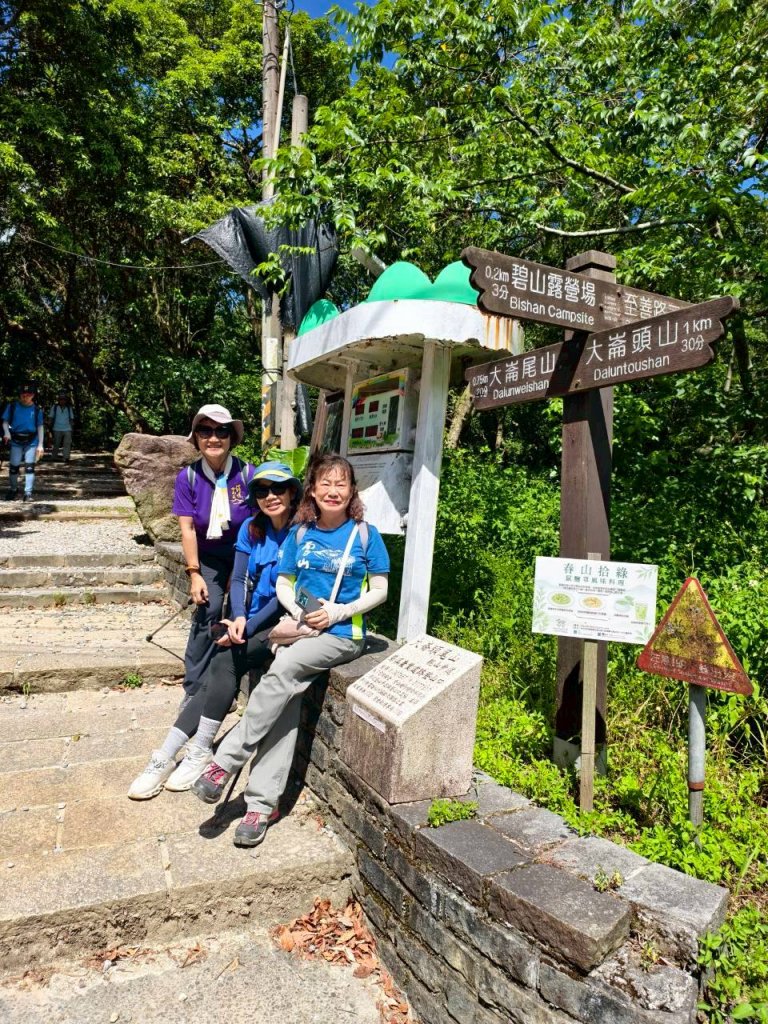 翠山步道、大崙頭尾山親山步道【臺北健走趣】_2874297