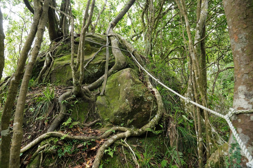 新北 平溪 峰頭尖_2779565