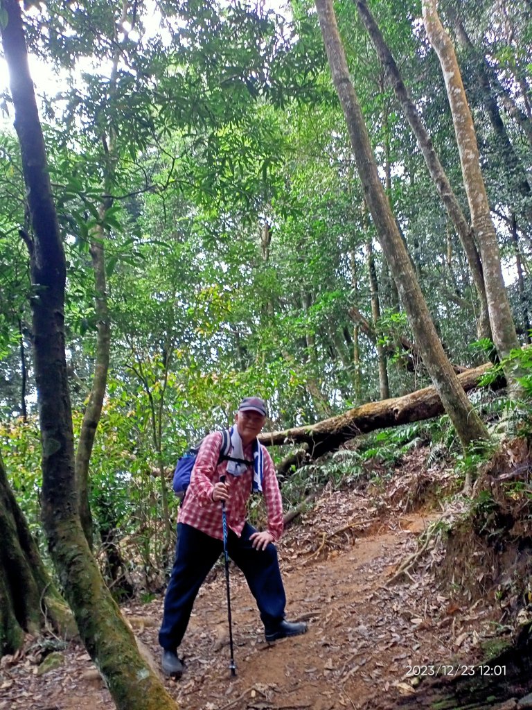 四訪苗栗的花果山-小百岳#037馬那邦山、雪霸國家公園管理處【小百岳集起來、苗栗-臺灣百大必訪步道】_2394335