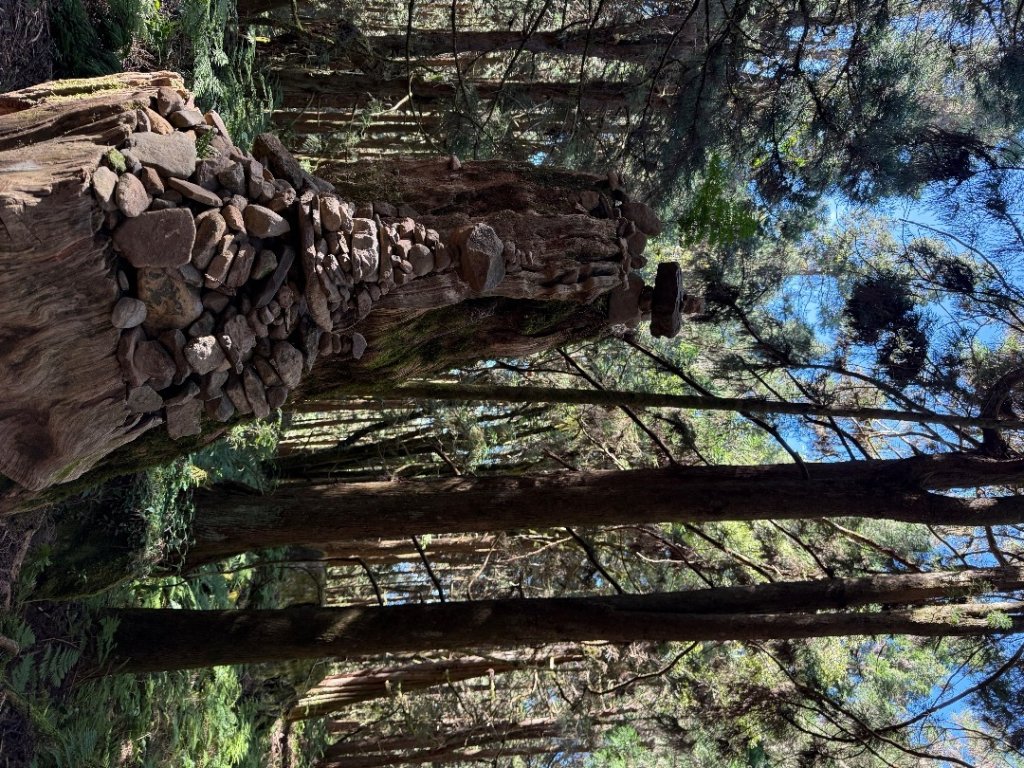 1141122特富野古道_2945848