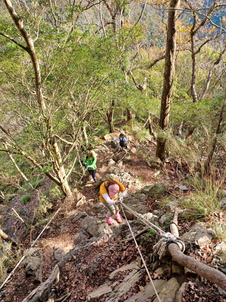 【苗栗泰安】中級山的大霸尖山。 虎山步道_2779631