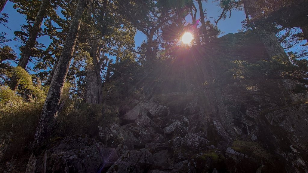 一日南臺首岳 關山(2023.1.13)_1994182