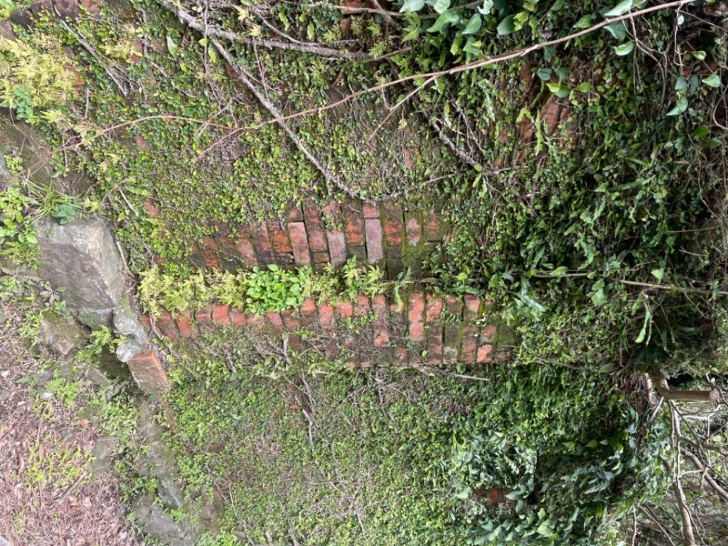 雙溪-四柑-後番子坑古道-土地公-上下內平林-大平林山-石笋-焿子寮古道-猴硐-金瓜石大小粗坑古道_2712602