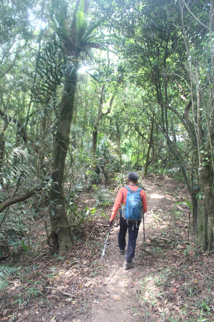 20240330台南雞九凍-雞胸山縱走_2470023