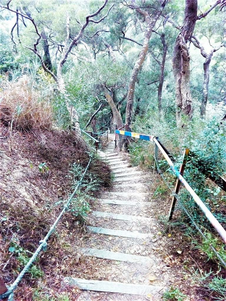 南觀音的寧靜_465180