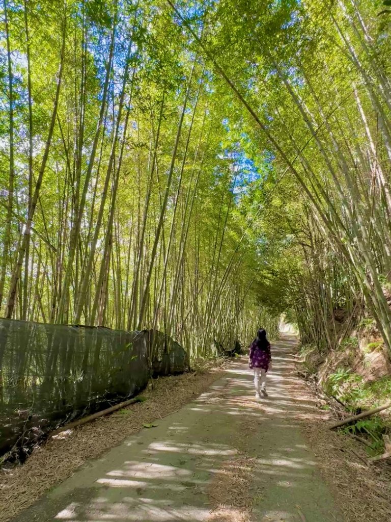 集集大山(小百岳#50）野店吃小吃_2972020