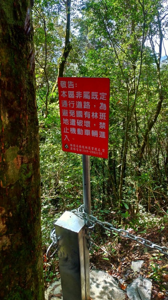 【舊武界山】→埔里六秀_1234473