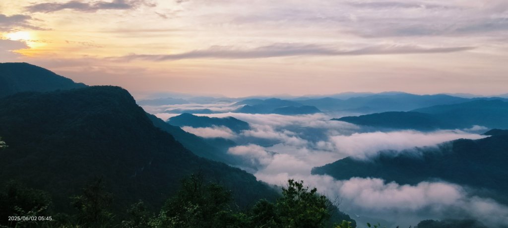 雲山水花鳥蝶-天龍國阿伯的日常6/2封面圖