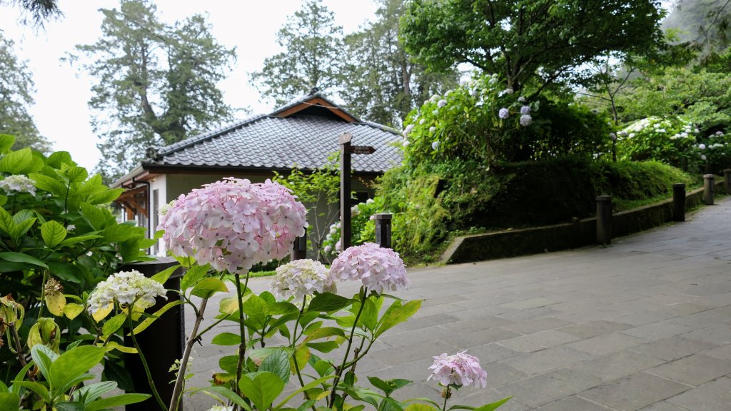 阿里山森遊區-神木步道_2536755