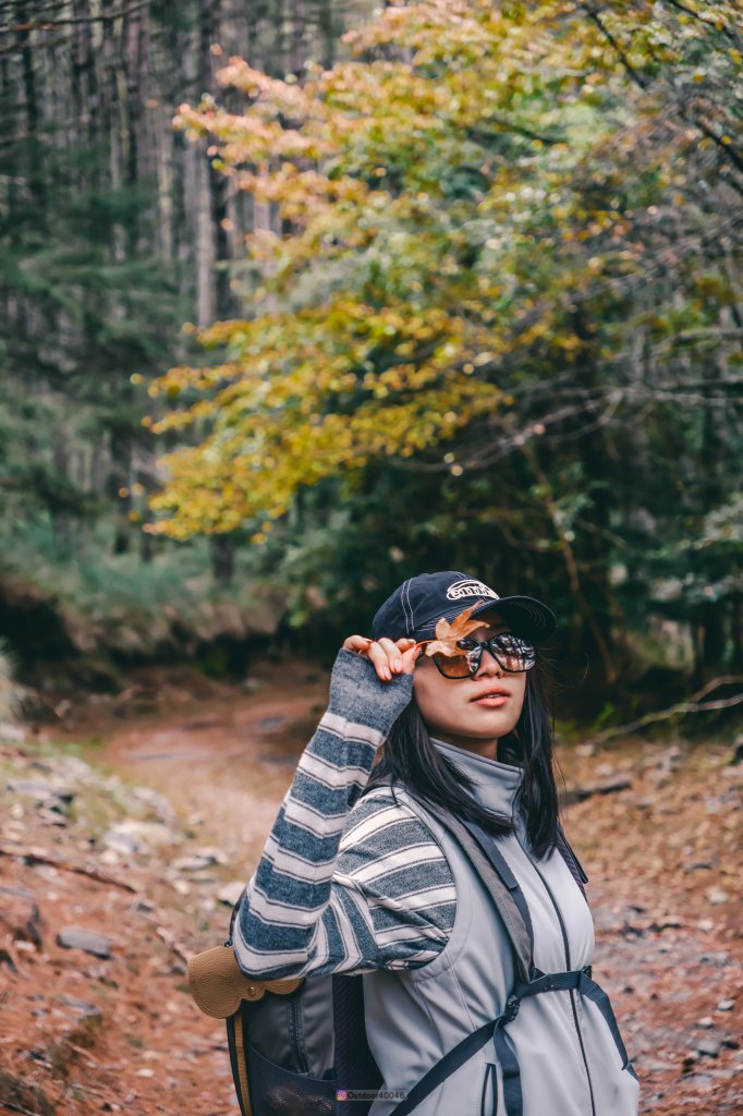 大雪山賞楓景點_2691535