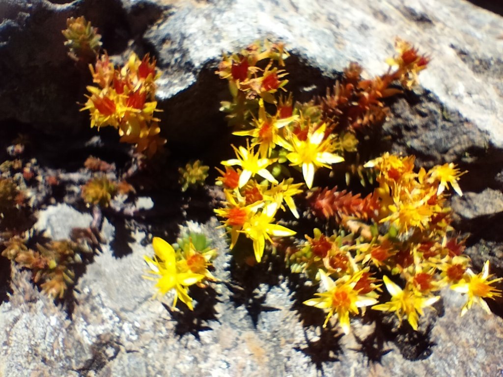 20250825_南玉山_2880494