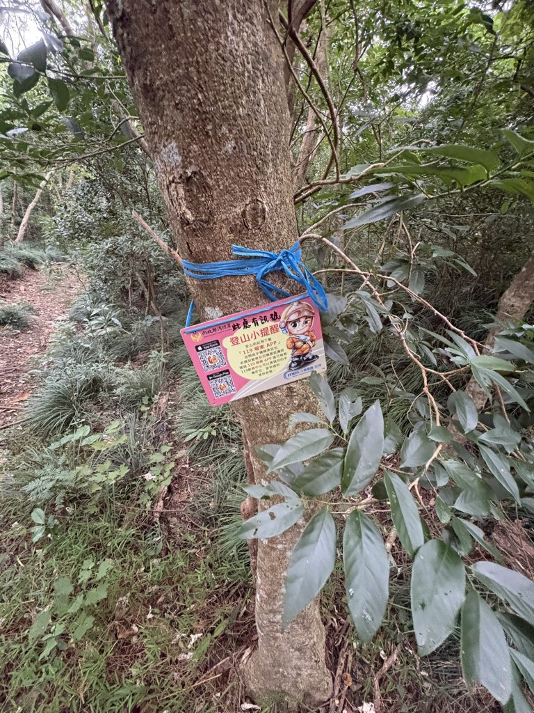 20251129女仍山步道_2951774