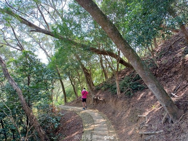 【苗栗造橋】適合親子悠閒踏青。劍潭古道_2533458