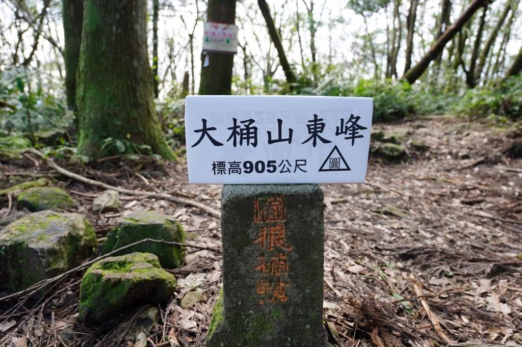 新北 烏來 大桶山、火燒樟山_2728785