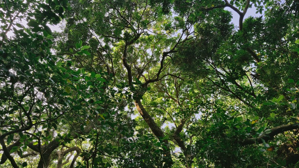 【台灣健行】壽山國家自然公園_2664246