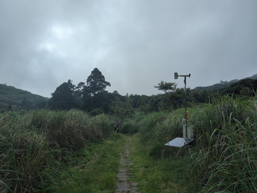 2025.05.17－大屯山步道下清天宮_2790040