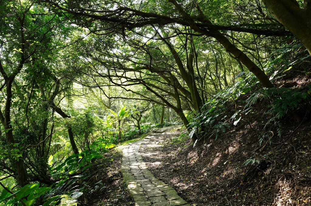 新北 中和 南勢角山、五尖山、牛埔頭山、外南勢角山_2437844