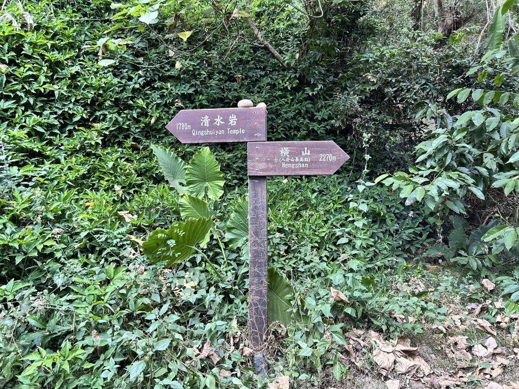 橫山觀日步道_2957503