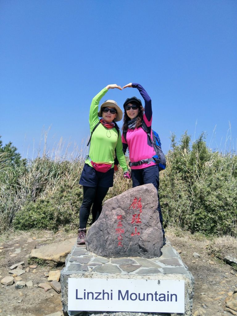 2018.03.17 郡大山麟趾山特富野_290715