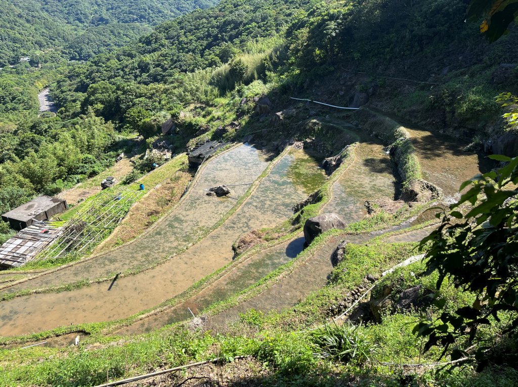 [走遍陽明山]2023_0910_大崎頭步道封面圖