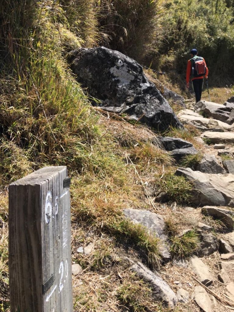 1070406玉山前峰_306448