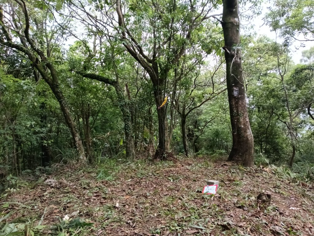 雙溪區平水+外柑腳山去回_2784083