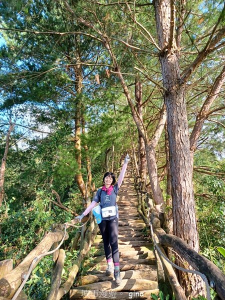 【台中北屯】第一次遇上大坑步道群起霧。 大坑三號步道_2695126