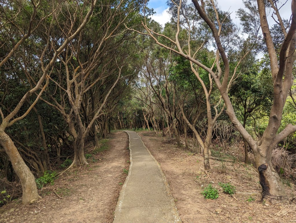 桃園虎頭山七連峰Ｏ型路線_2040510