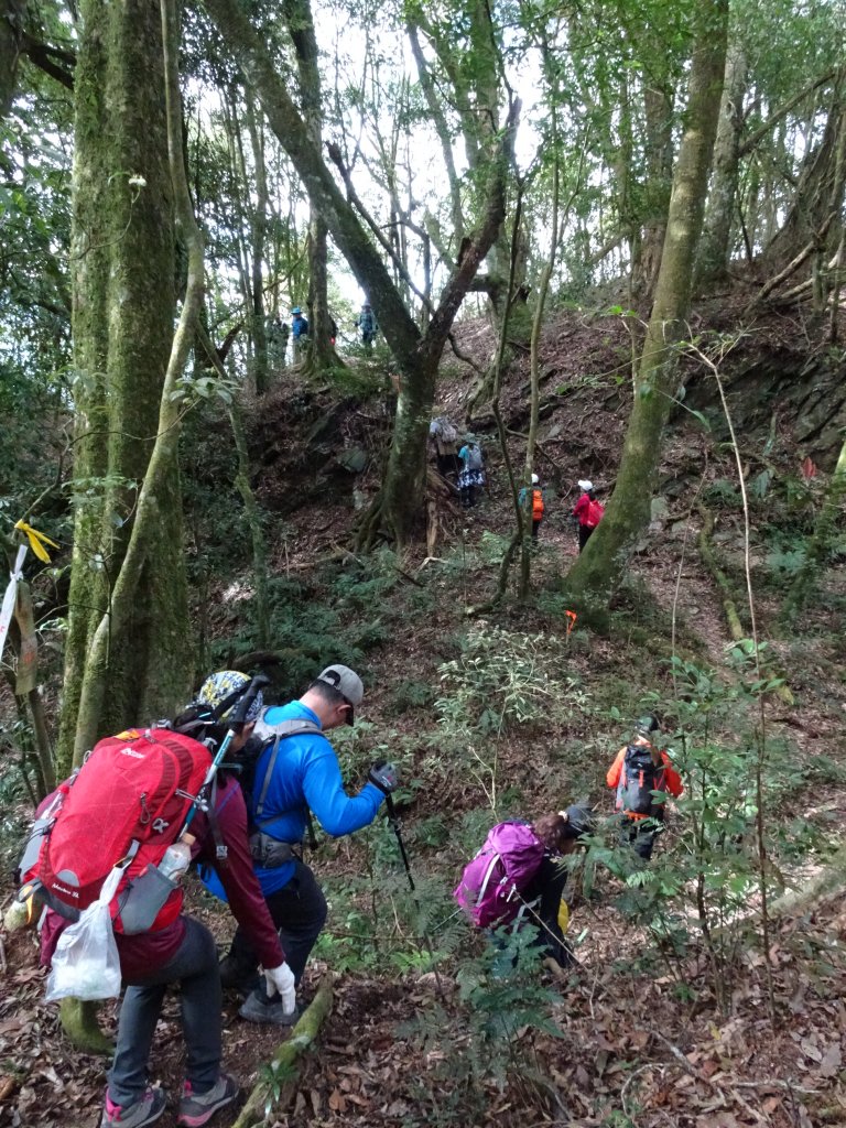 2022年02月13日(彰山協)南投日月潭四兄妹之中級山~大尖山縱走水社大山_1613368