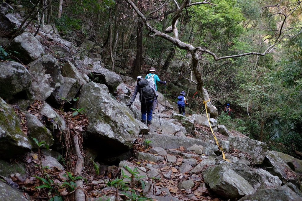 谷關七雄 | 東卯東南稜下松鶴_1320694