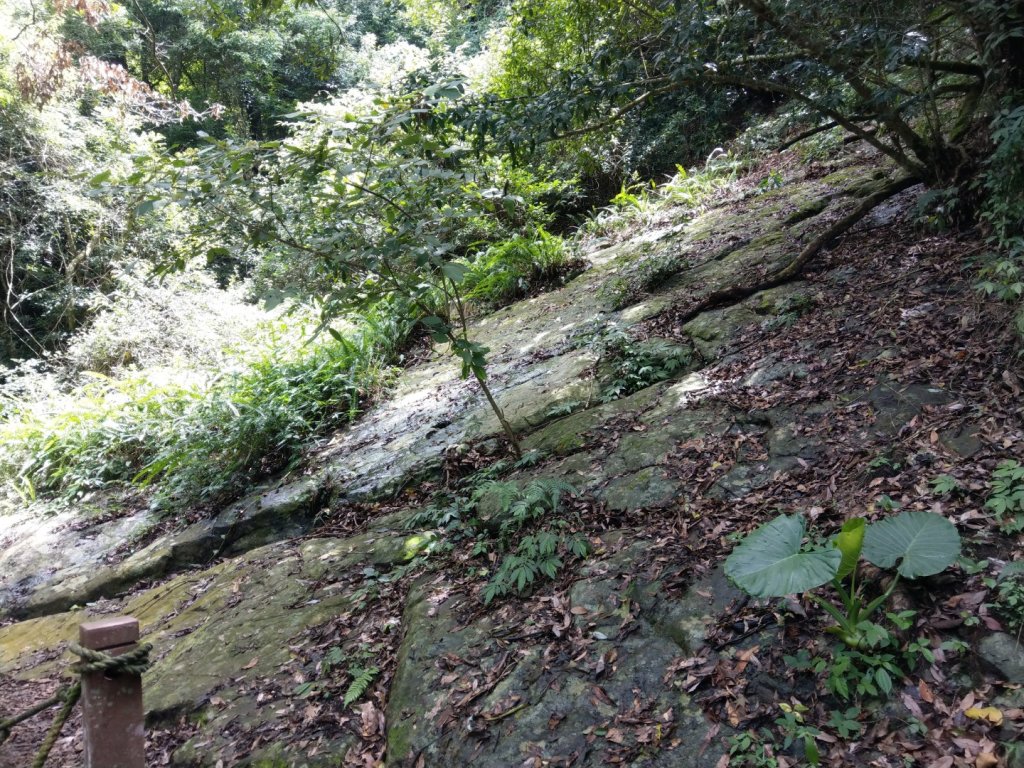 馬那邦山（天然湖起登）_1019703