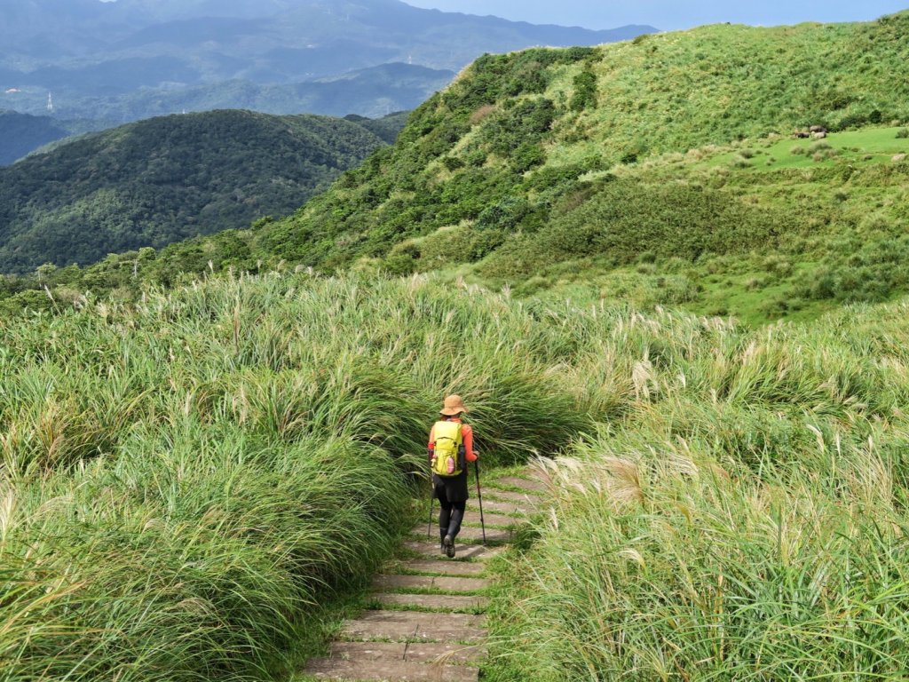 桃源谷步道 大溪上～大里下_1490388