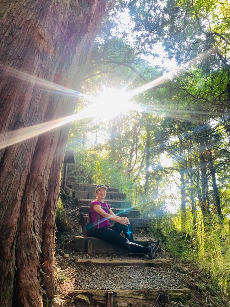 阿里山祝山日出，塔山步道，眠月線_1776878