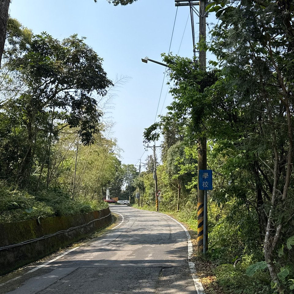 20250308古坑後棟山涼亭、挑筍古道_2730494