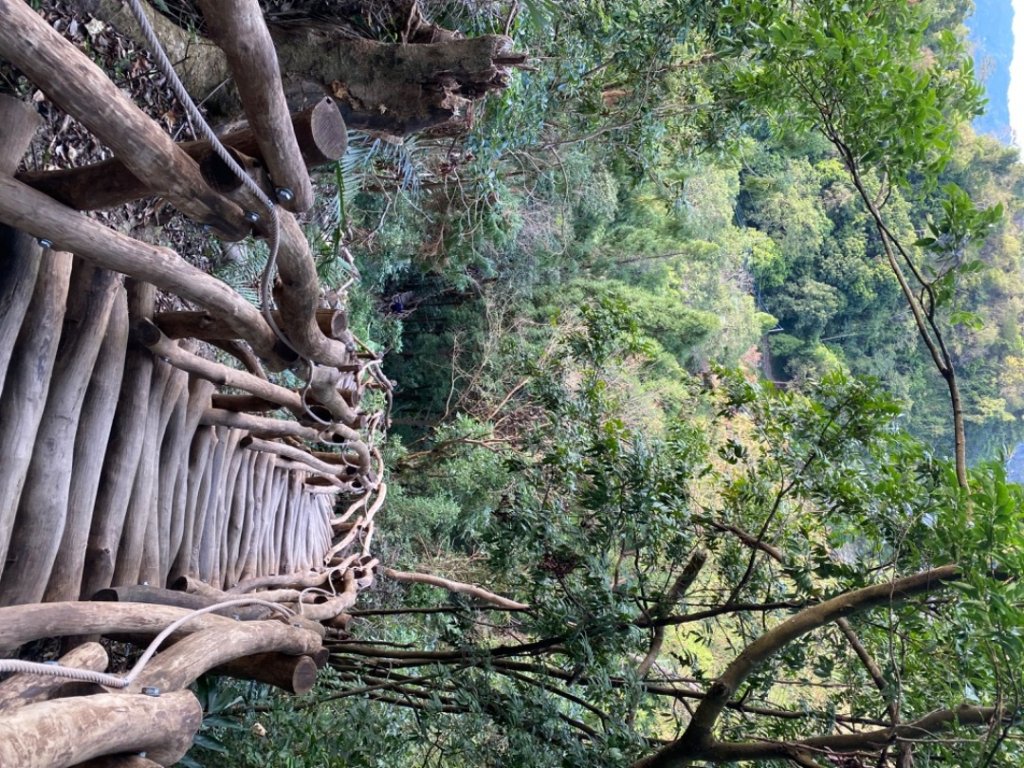 1111204大坑4、5號步道_2652934