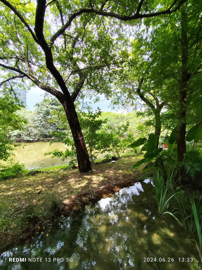 大安森林公園【走路趣尋寶】【臺北健走趣】_2536219