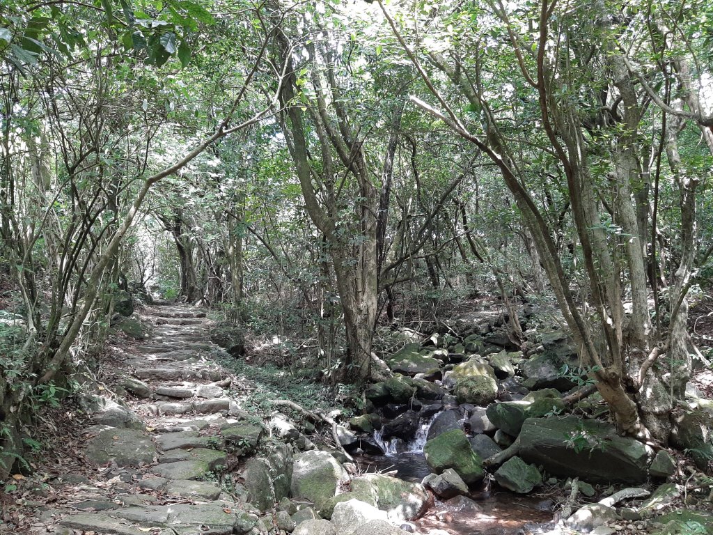 魚路古道北段 - 穿越時空遇到你_1068950