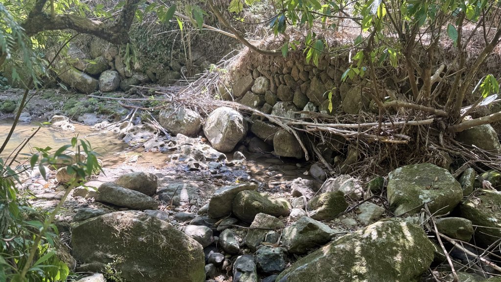 2025/10/15 台北大縱走第7段_2916491