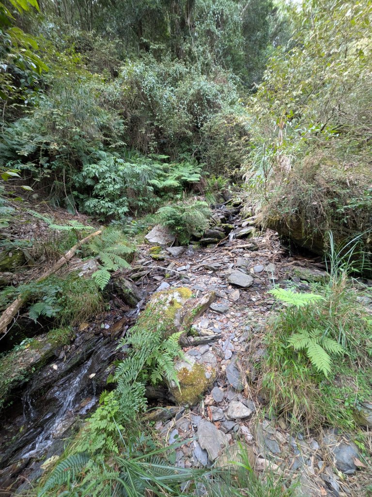 結界縱走三日(結城山、境界山、檜山)_2920864