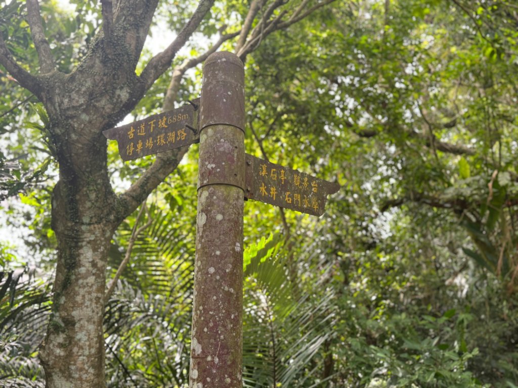 大艽芎古道縱走 新/溪州山(小百岳#23) 出溪州公園_2893879