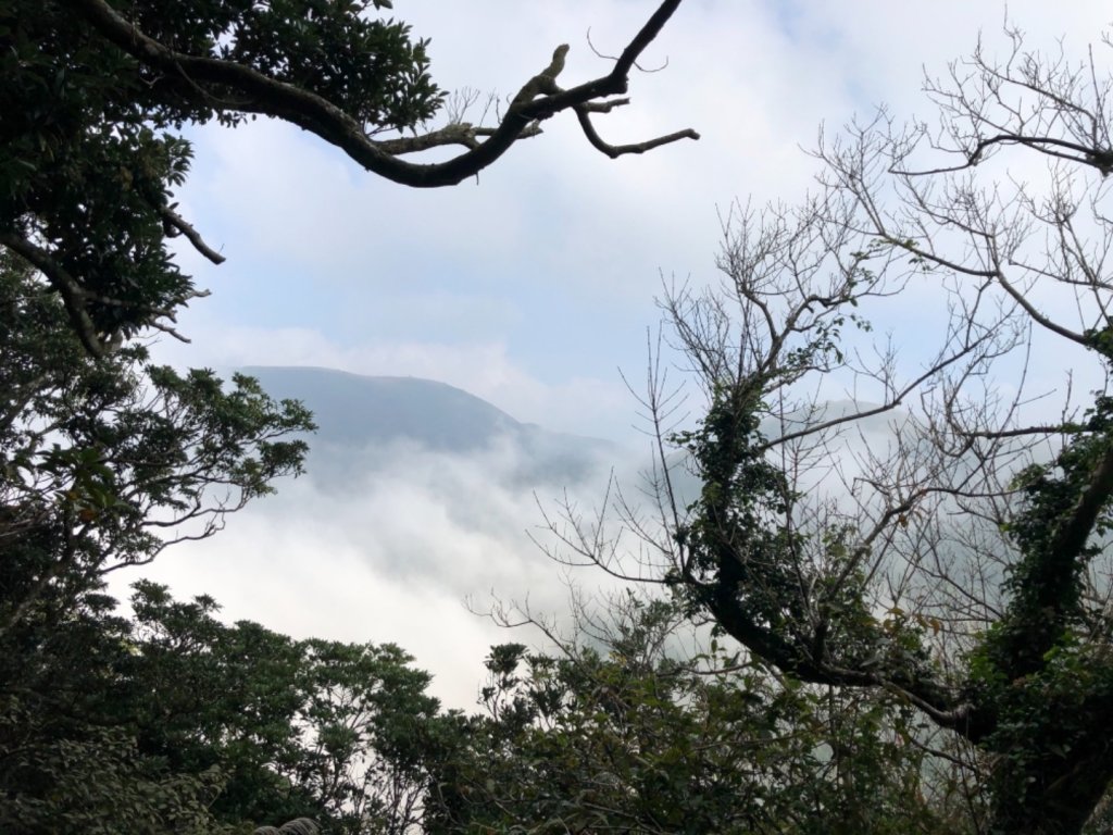 臺北-面天山/向天山/向天池/二子坪_471958