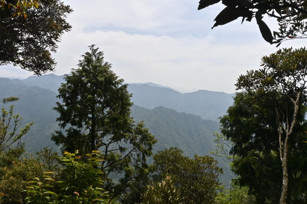 中級山-高島縱走_2888363