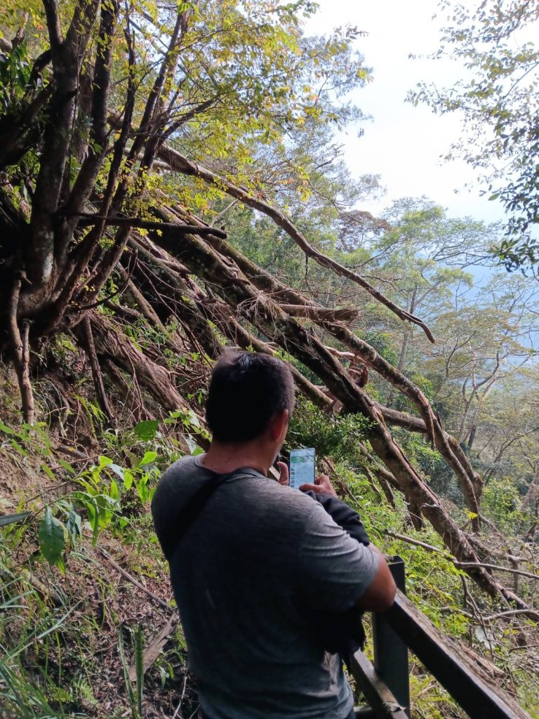 象鼻古道_2656933