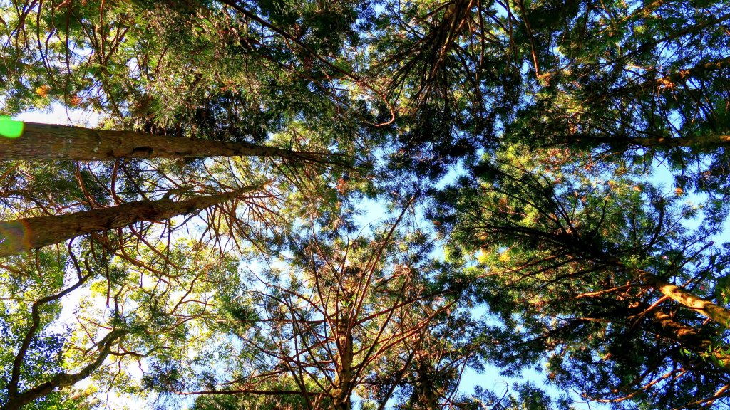 油羅山(一上三下)_2959135