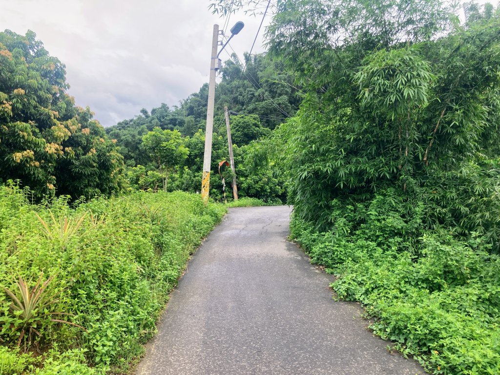 阿罩霧山_2600906