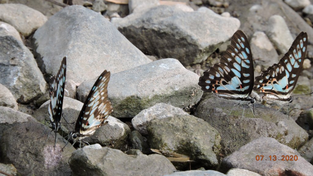 就是喜歡這個藍天白雲的FU_1032111